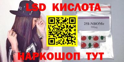 шишки Кингисепп